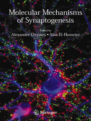 cover image of Molecular Mechanisms of Synaptogenesis